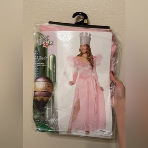 Wizard of oz Glinda costume